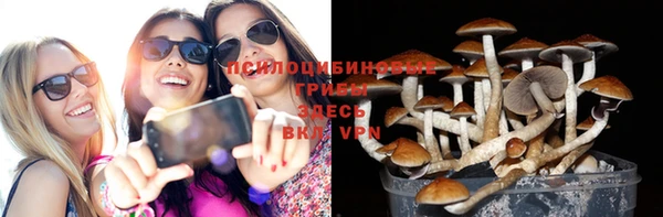 мяу мяу мука Алзамай