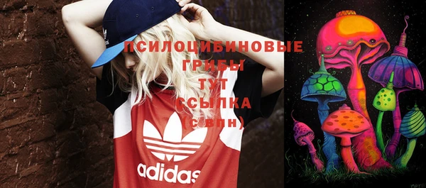 ECSTASY Алексин