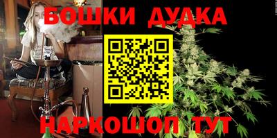 крисы Свободный