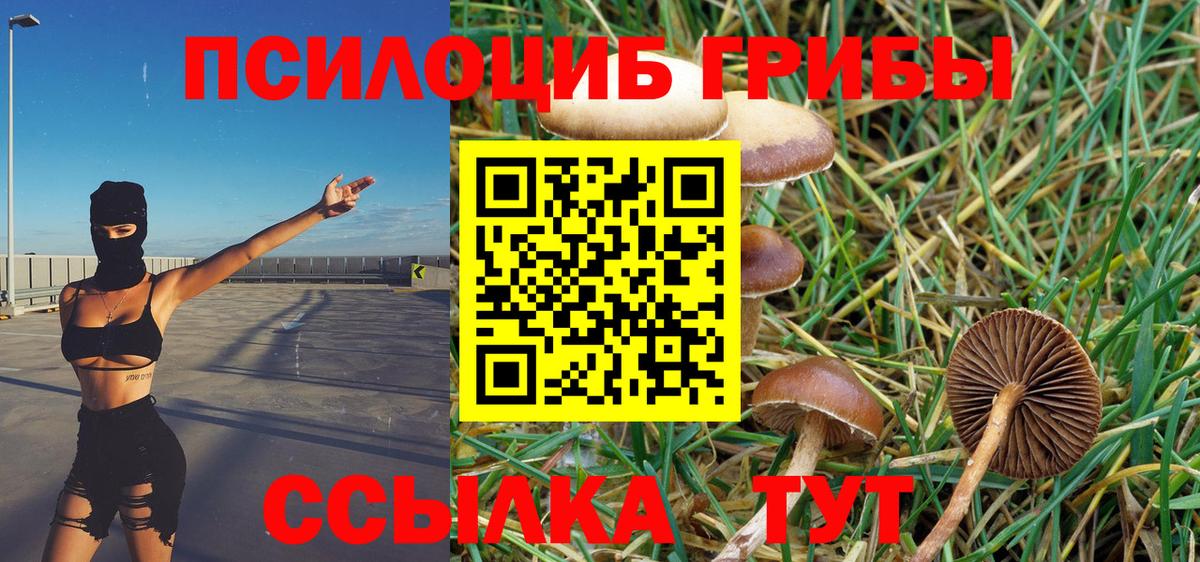 Углич  Псилоцибиновые грибы ЛСД  наркотики  Псилоцибиновые грибы Magic Shrooms  Вход с VPN 